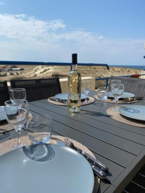 Bel appartement T3 vue sur les dunes et l'océan